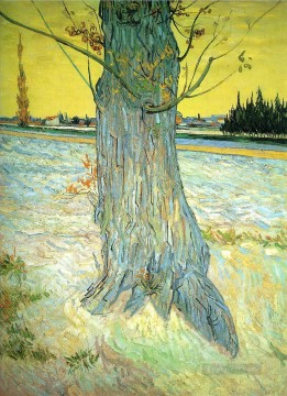 Tronco de un viejo tejo Vincent van Gogh Pinturas al óleo